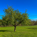 French property for sale in Eymet, Dordogne - €167,400 - thumbnail 9