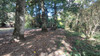 French property for sale in Plémet, Côtes-d'Armor - €182,500 - thumbnail 9