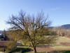 French property for sale in Castelnaud-la-Chapelle, Dordogne - €235,000 - thumbnail 9