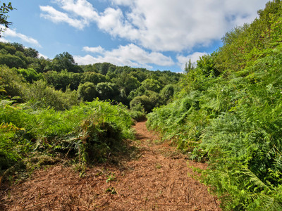 French property for sale in Payzac, Dordogne - €41,600 - photo 2