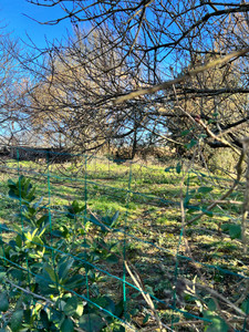 French property for sale in Eyzerac, Dordogne - €135,000 - photo 3