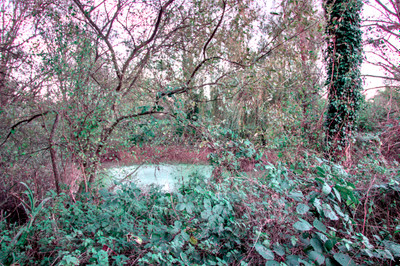 French property for sale in Quettreville-sur-Sienne, Manche - €31,600 - photo 8