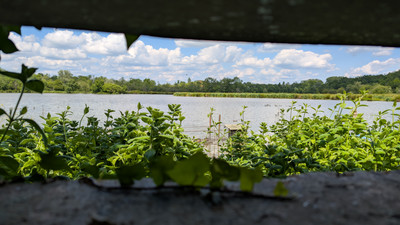 French property for sale in Izon, Gironde - €270,300 - photo 1