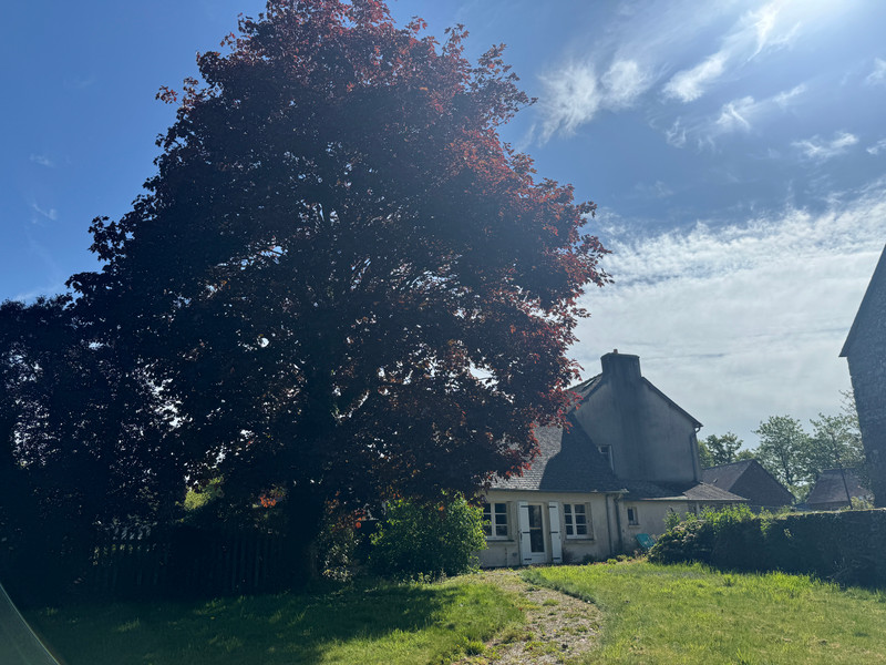 French property for sale in Sainte-Tréphine, Côtes-d'Armor - €109,000 - photo 13