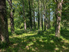 French property for sale in Chevanceaux, Charente-Maritime - €249,000 - thumbnail 9