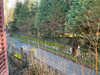 French property for sale in La Pouge, Creuse - €50,600 - thumbnail 9