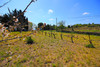 French property for sale in La Livinière, Hérault - €320,000 - thumbnail 14