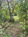 Maison à Gajoubert, Haute-Vienne - photo 10