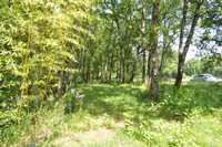 Maison à vendre à La Tour-Blanche-Cercles, Dordogne - 97.900 € - photo 9