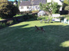 French property for sale in Gouarec, Côtes-d'Armor - €283,550 - thumbnail 9