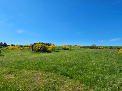 French property for sale in Néris-les-Bains, Allier - €194,400 - photo 6