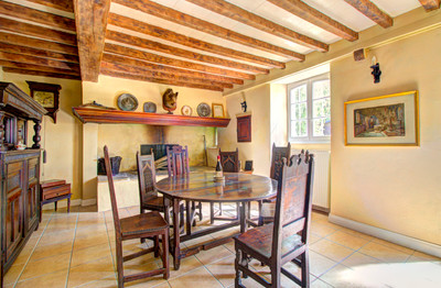 CHARMING BÉARNAISE FARMHOUSE + ADJOINING GUEST COTTAGE + POOL + 1.45 HECTARES + COUNTRYSIDE & MOUNTAIN VIEWS