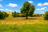 French property for sale in Montignac-de-Lauzun, Lot-et-Garonne - €242,000 - thumbnail 9