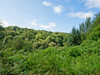 French property for sale in Payzac, Dordogne - €41,600 - thumbnail 9