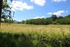 French property for sale in Saint-Félix-de-Villadeix, Dordogne - €83,600 - thumbnail 9