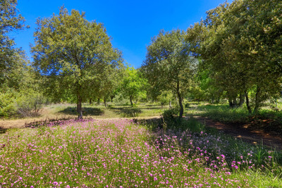 French property for sale in Rustrel, Vaucluse - €399,000 - photo 8