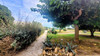 French property for sale in Le Barcarès, Pyrénées-Orientales - €66,600 - thumbnail 9