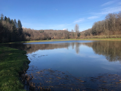 Lacs à vendre à Jussey, Haute-Saône, Franche-Comté, avec Leggett Immobilier