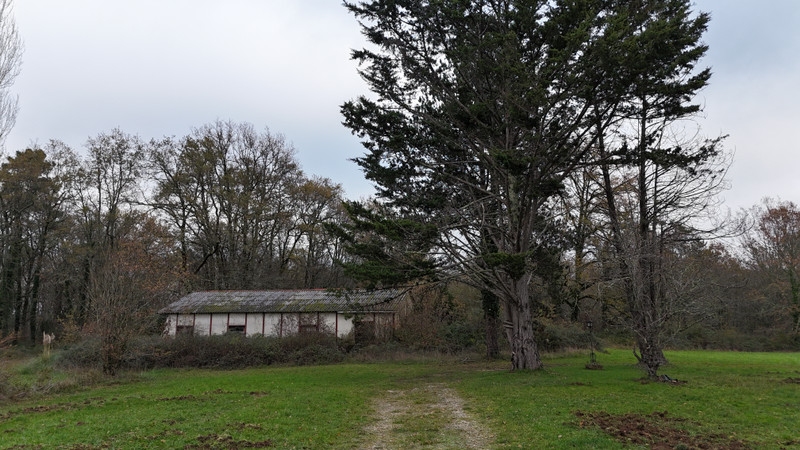 French property for sale in Pressignac-Vicq, Dordogne - €430,500 - photo 2