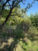 French property for sale in Queaux, Vienne - €99,000 - thumbnail 14