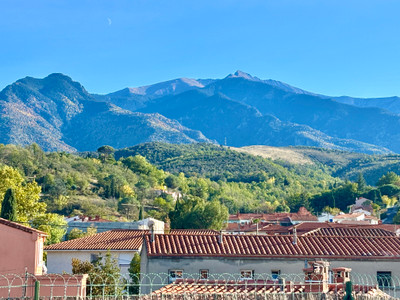 French property for sale in Prades, Pyrénées-Orientales - €75,000 - photo 4