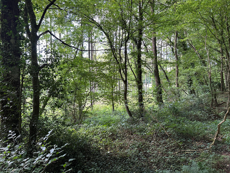 French property for sale in Médréac, Ille-et-Vilaine - €16,600 - photo 9