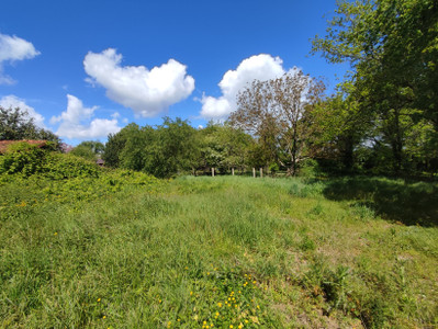 French property for sale in Champagne-Mouton, Charente - €29,000 - photo 6