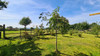 French property for sale in Juvigny Val d'Andaine, Orne - €127,000 - thumbnail 14