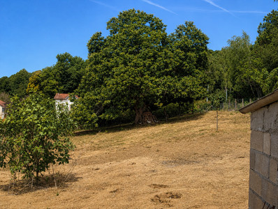 French property for sale in Châlus, Haute-Vienne - €235,400 - photo 2