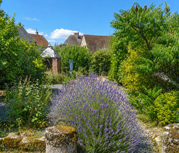 French property for sale in Châtelus-Malvaleix, Creuse - €210,000 - photo 2