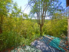 French property for sale in Hautefort, Dordogne - €50,600 - thumbnail 9