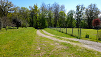 Terrain à Le Bugue, Dordogne - photo 3