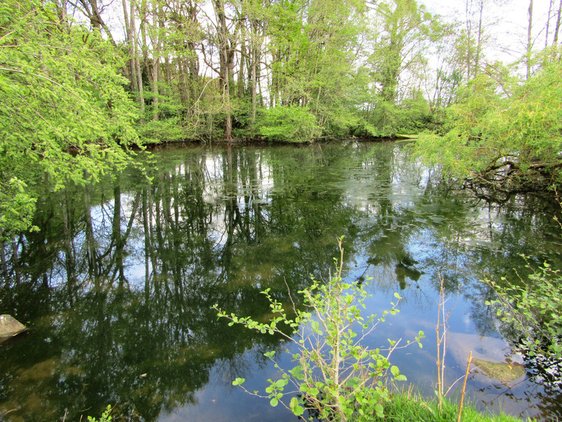 French property for sale in Saint-Pierre-sur-Orthe, Mayenne - €215,053 - photo 2