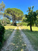 French property for sale in Thiviers, Dordogne - €599,900 - thumbnail 9
