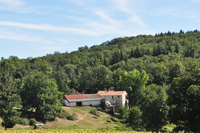French property for sale in Saint-Estèphe, Dordogne - &#8364;1,050,000 - photo 2