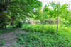 French property for sale in Montreuil, Seine-Saint-Denis - €1,500,000 - thumbnail 9