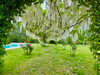 French property for sale in Bergerac, Dordogne - €545,000 - thumbnail 9