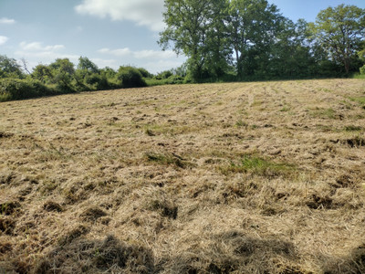 French property for sale in Saulgé, Vienne - €46,600 - photo 7