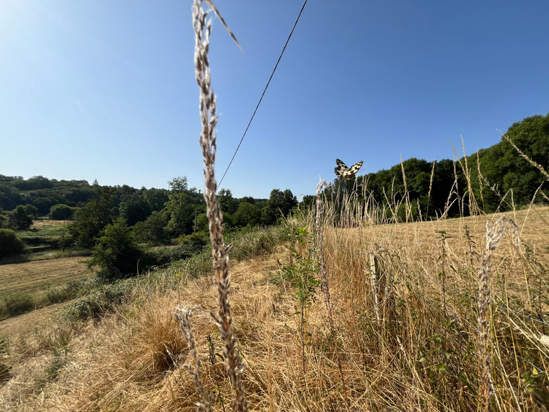 French property for sale in Lessac, Charente - €439,400 - photo 9