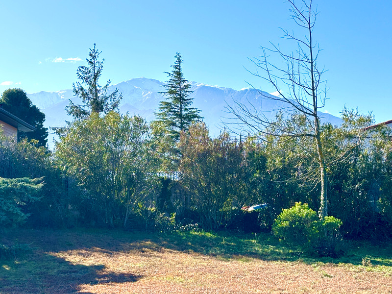 French property for sale in Vinça, Pyrénées-Orientales - €485,000 - photo 6