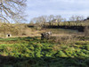 French property for sale in Charron, Creuse - €75,000 - thumbnail 14