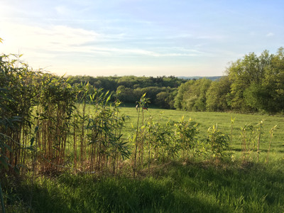 Stone house with a modern extension, 17 hectares of woods and fields, swimming pool and outhouses to renovate