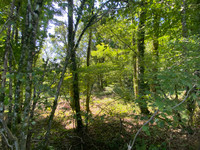 Lacs à vendre à Vigeois, Corrèze - 36.600 € - photo 5