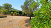 French property for sale in Agel, Hérault - €269,000 - thumbnail 13