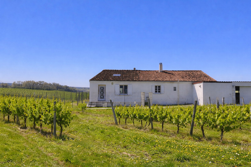 French property for sale in Châteauneuf-sur-Charente, Charente - €162,000 - photo 1