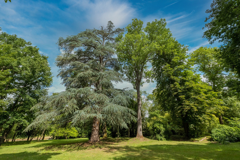 French property for sale in Mortcerf, Seine-et-Marne - &#8364;2,350,000 - photo 2