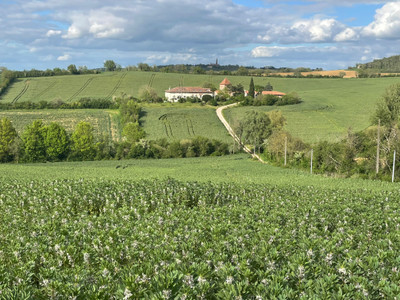 Hamlet with wonderfully restored Manor House, villa and dovecote, panoramic views, 40' Toulouse airport