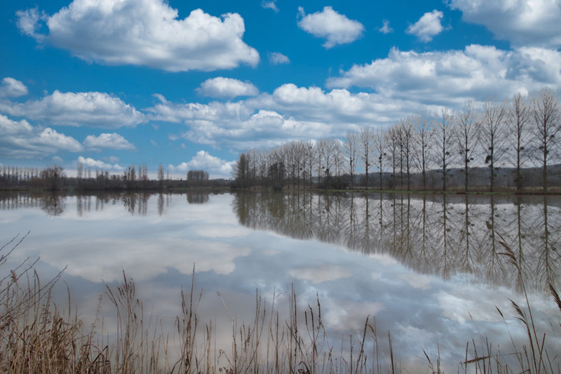 Lacs à vendre à Connerré, Sarthe - 185 760 € - photo 1