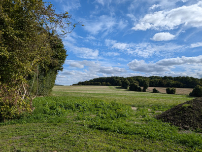 French property for sale in Nogent-le-Bernard, Sarthe - €485,000 - photo 9