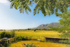 French property for sale in Rustrel, Vaucluse - €750,000 - thumbnail 14